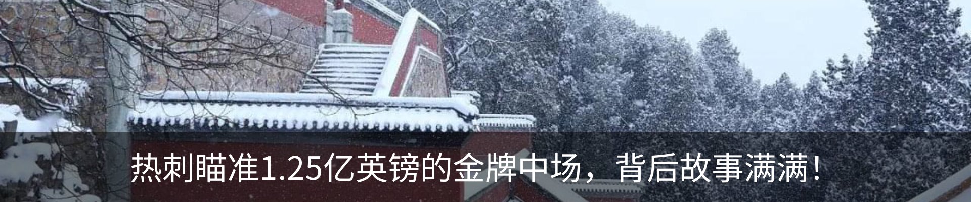 行业资讯